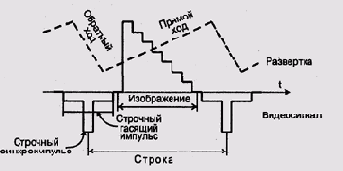 Строка развертки ЭЛТ